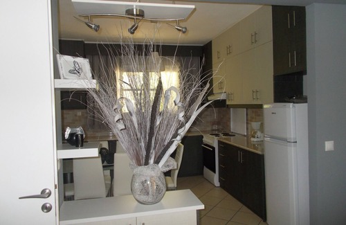Apolpaina Apartment | Modern Apartment with Kitchen & Wheelchair Access Available