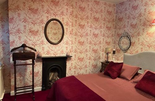 Killarney Bed & Breakfast | Cozy Ivy Cottage B&B with Kitchen - Rated 9/10 by Guests