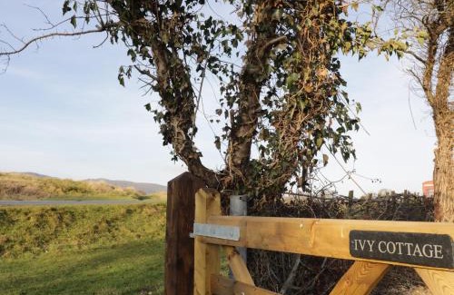 Hay-on-Wye House | Experience Ivy Cottage: Pet-Friendly 5-Star Retreat
