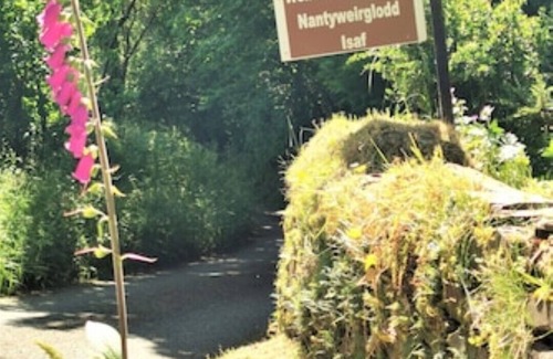 Llanfyrnach Cottage | Family-Friendly Getaway at Ivy Cottage for Memorable Stays