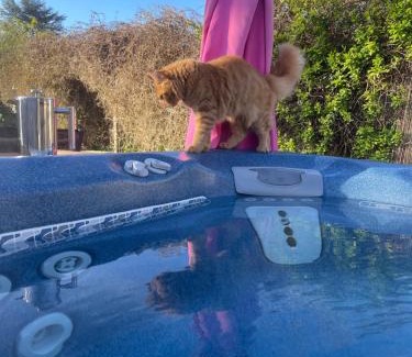 Stawell House | Eco-Friendly Ivy Cottage: Guest Rated 10/10 with Hot Tub