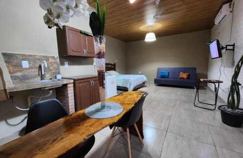 Ciudad Del Este Apartment | Pet-Friendly Ivy House Apart Hotel with Oceanfront Views
