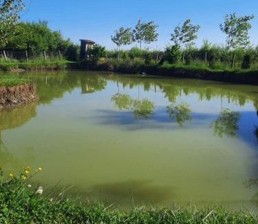 Nozicko Other | Pet-Friendly Getaway at Izletište Camp Kruškik with Pool