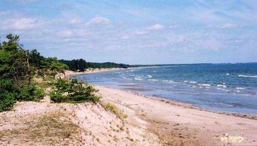 Tehumardi House | Oceanfront Järve Cottages: Rated 9.2/10, Family Friendly
