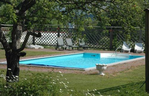 Jarvso Hotel | Relax at Järvsöbaden: Pet-Friendly Retreat with Spa & Pool