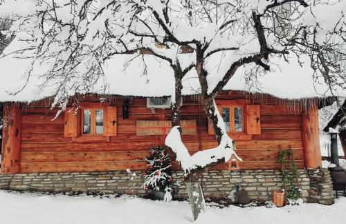 Kalwaria Pacawska Ski Chalet | Jabłoniowa Chatka: Pet-Friendly Retreat with 9.4/10 Rating