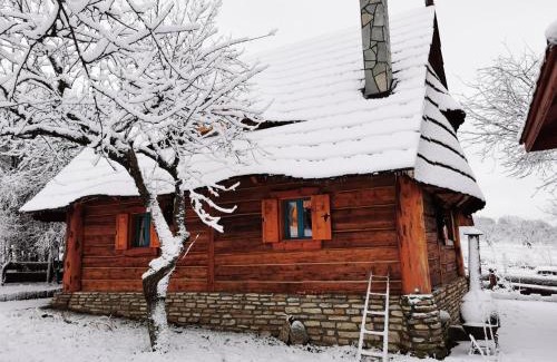 Kalwaria Pacawska Ski Chalet | Jabłoniowa Chatka: Pet-Friendly Retreat with 9.4/10 Rating