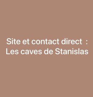Saint Nicolas - Charles III - Ville vieille - Trois Maisons - Leopold Apartment | Relaxing Spa Retreat at Jaccuzi & Spa des Caves Stanislas