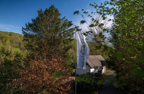 Brilon House | Welcoming Jachthuus: Family & Pet-Friendly Retreat
