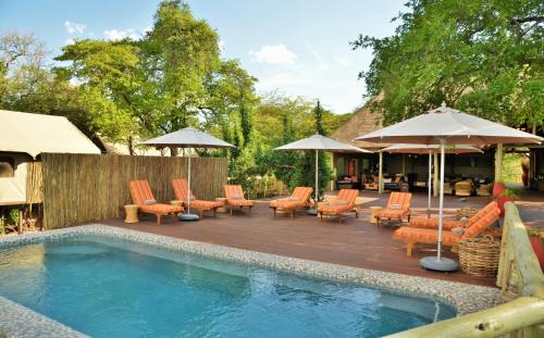 Kasane Hotel | Experience Jackalberry Chobe: Poolside Oasis with Ocean Views