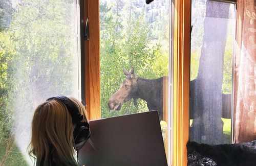 Moose Wilson Road Condo | Jackson Hole condo in the Aspens. A retreat close to Nat. Parks & JHMR, King Bed