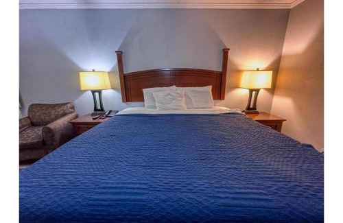 Jacksonville Hotel | Budget-Friendly Jacksonville Inn with Family Amenities