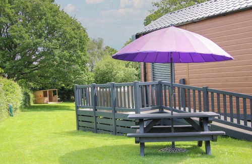 Church Stoke Cottage | Pet-Friendly Jacob's Meadow Pod 2 with Garden Retreat