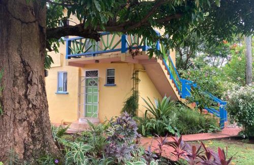 Calibishie Apartment | Discover Jacoway Inn: Oceanfront Retreat with Spa & Pets Welcome