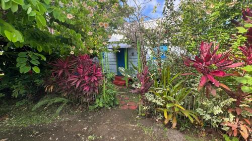 Calibishie Apartment | Discover Jacoway Inn: Oceanfront Retreat with Spa & Pets Welcome