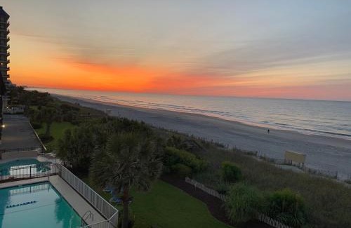 Myrtle Beach Hotel | Discover Jade Tree Cove: Oceanfront Oasis with Pool