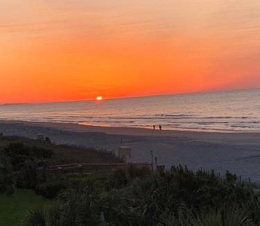 Myrtle Beach Hotel | Discover Jade Tree Cove: Oceanfront Oasis with Pool