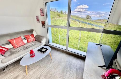 Reichsfeld Villa | Pet-Friendly Domaine BOHN Red Winehouse with 9.3/10 Score