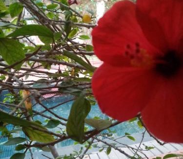 Sidi Ifni House | Discover Janna d'Ifni: Oceanfront Oasis with Pool