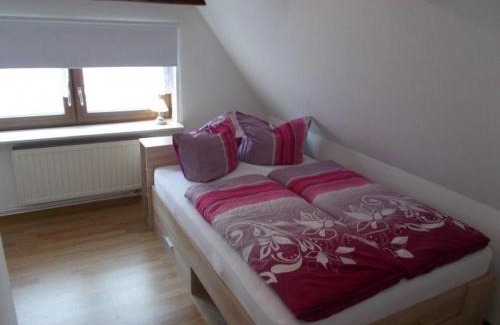 Friedrichsbrunn Apartment | Cozy Janos Ferienwohnung 2: Oceanfront Family Escape