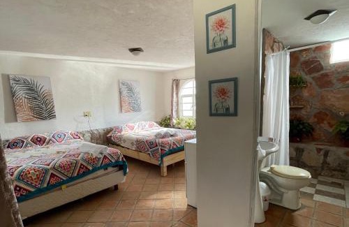El Oasis Valsequillo House | Discover Scenic Cabañas at Jardín Quinta Las Fuentes