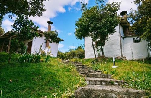 Guatavita Cabin | Beautiful Jardin Colibri: 10/10 Rated & Pet Friendly Stay
