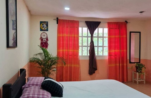 Xico Hotel | Jardin de los Anturios, Xico