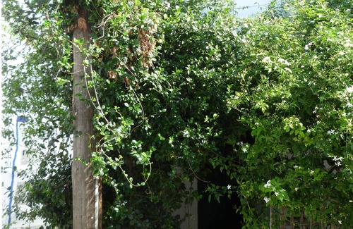 Skiros House | Jasmine House: Cozy Stay in Chora of Skyros, 9.2 Rated
