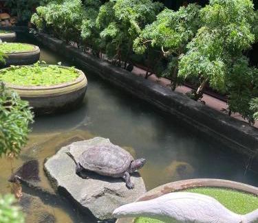 Taphul Village Area Bed & Breakfast | Jasmine Lodge Siem Reap