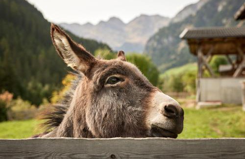 Racines Apartment | Top-Rated Family Retreat at Jaufenspitze Blasighof