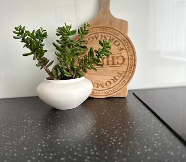 Silute Apartment | Family-Friendly Apartments in Šilutė with Perfect Ratings!