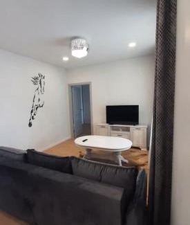 Siauliai City Center Apartment | Guest Rated 9.7: Cozy Apartments in the Heart of the City