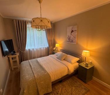 Panevezys county Apartment | Jaukus apartamentas Birzu centre
