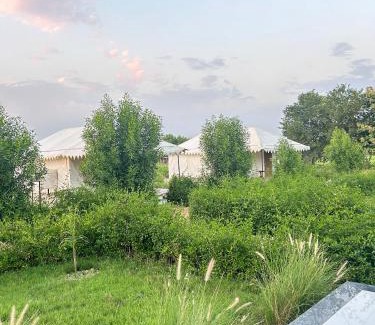 Bali Other | Jawai Horizon Camp