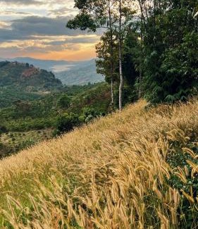 Bao Loc Bed & Breakfast | Discover JE T'AIME VILLA: Nature Retreat with Family Amenities