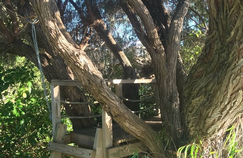 Augusta House | Pet-Friendly Jecks Beachside Accommodation with Ocean Views