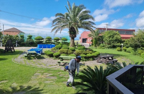 Hallim House | Cozy Jeju Again Olle Pension with Oceanfront Views