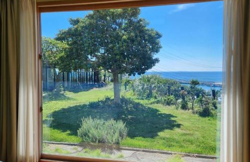 Jungmun House | Oceanfront Relaxation at JEJU Doldam B&B - Rated 9/10