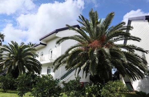 Hallim Resort | Family-Friendly Retreat at Jeju Resortel Awaits You