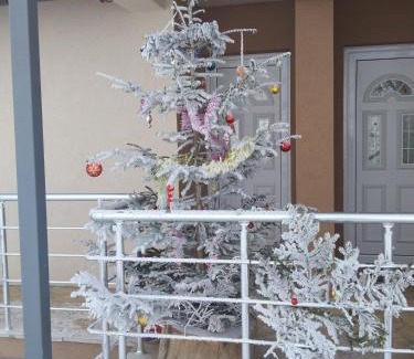 Ciganska Mahala Apartment | Discover Jelenin Konak: Guest Rated 9.8 & Child Friendly