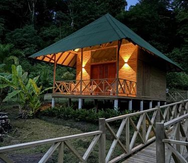 Nuqui Hotel | Relax at Jenené Lodge: Oceanfront Retreat for Families