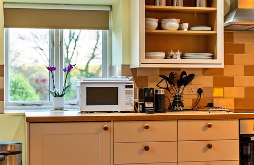 Boscastle Apartment | Pet-Friendly Retreats at Jenny Wren - Guest Rated 10/10