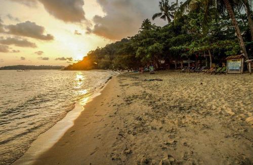 Khong Koi Beach Apartment | Explore Jeroen's Jungle View: Pet Friendly & Breakfast Included