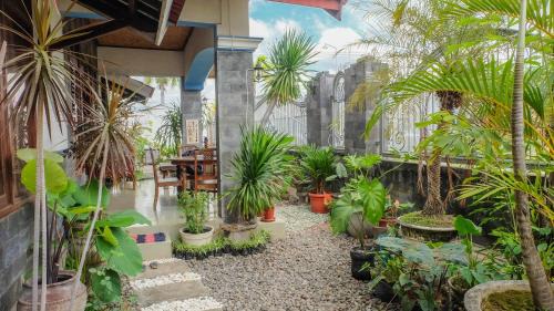 Situbondo House | Kid-Friendly Jeru Homestay with Excellent 9/10 Guest Ratings
