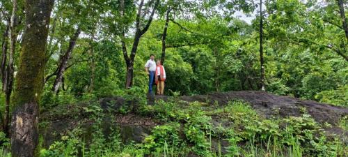 Devikolam Resort | Jewel Homes Thattekad For birding and families - An ISO9001 ISO14001 ISO22000 Certified
