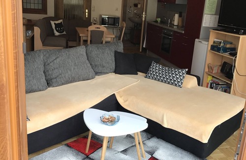 Zell Condo | Enchanting Jewel of the Mosel: Central Apartment with Views