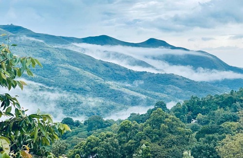 Kodaikanal Bed & Breakfast | Guest Rated 10/10 at Jeyar Cottage - Family-Friendly Retreat