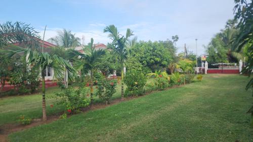 Nilaveli House | Top-Rated JEYs Place with Oceanfront Views & Pet-Friendly Stay