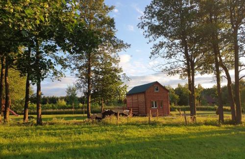 Uscimow House | Cozy Retreat with Sauna and Ocean View in Nowa Jedlanka