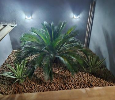 Nova Pirapora House | JF's Refuge